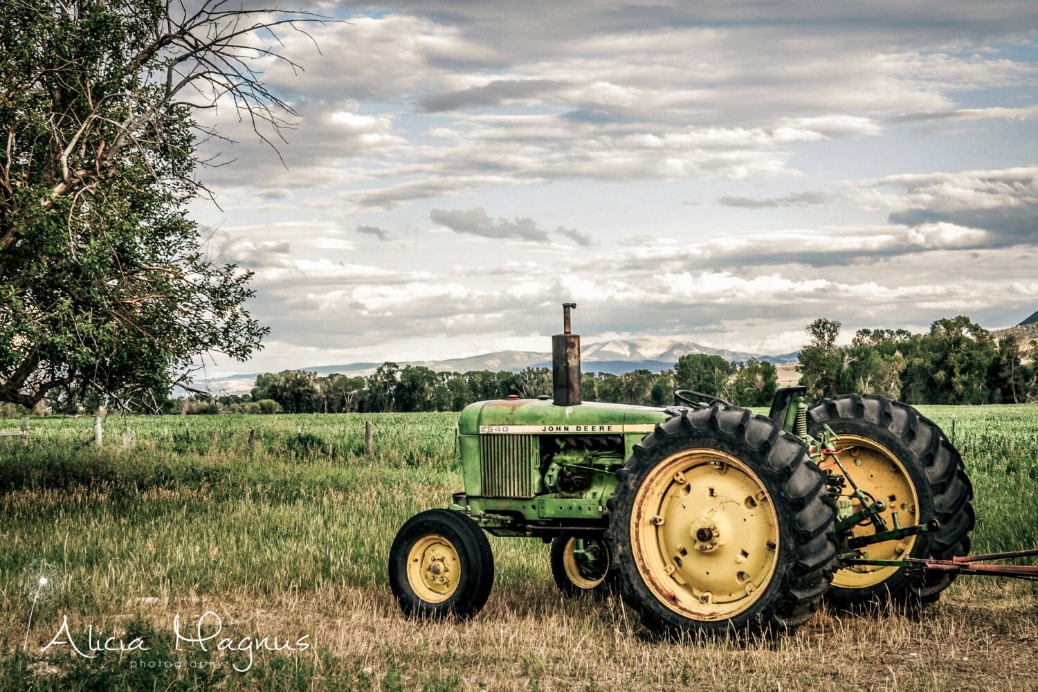 Country Wall Decor TRACTOR CANVAS PRINT John Deere