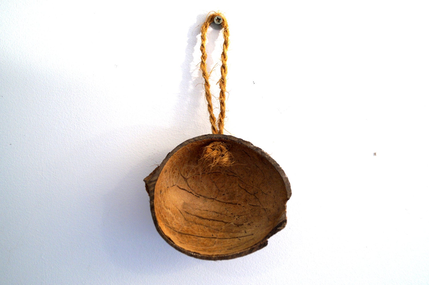 Vintage coconut decor wall hanging.Natural coconut