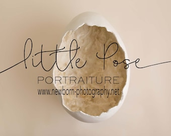 Little Pose ~ Egg Newborn Digital Background High Res jpg file
