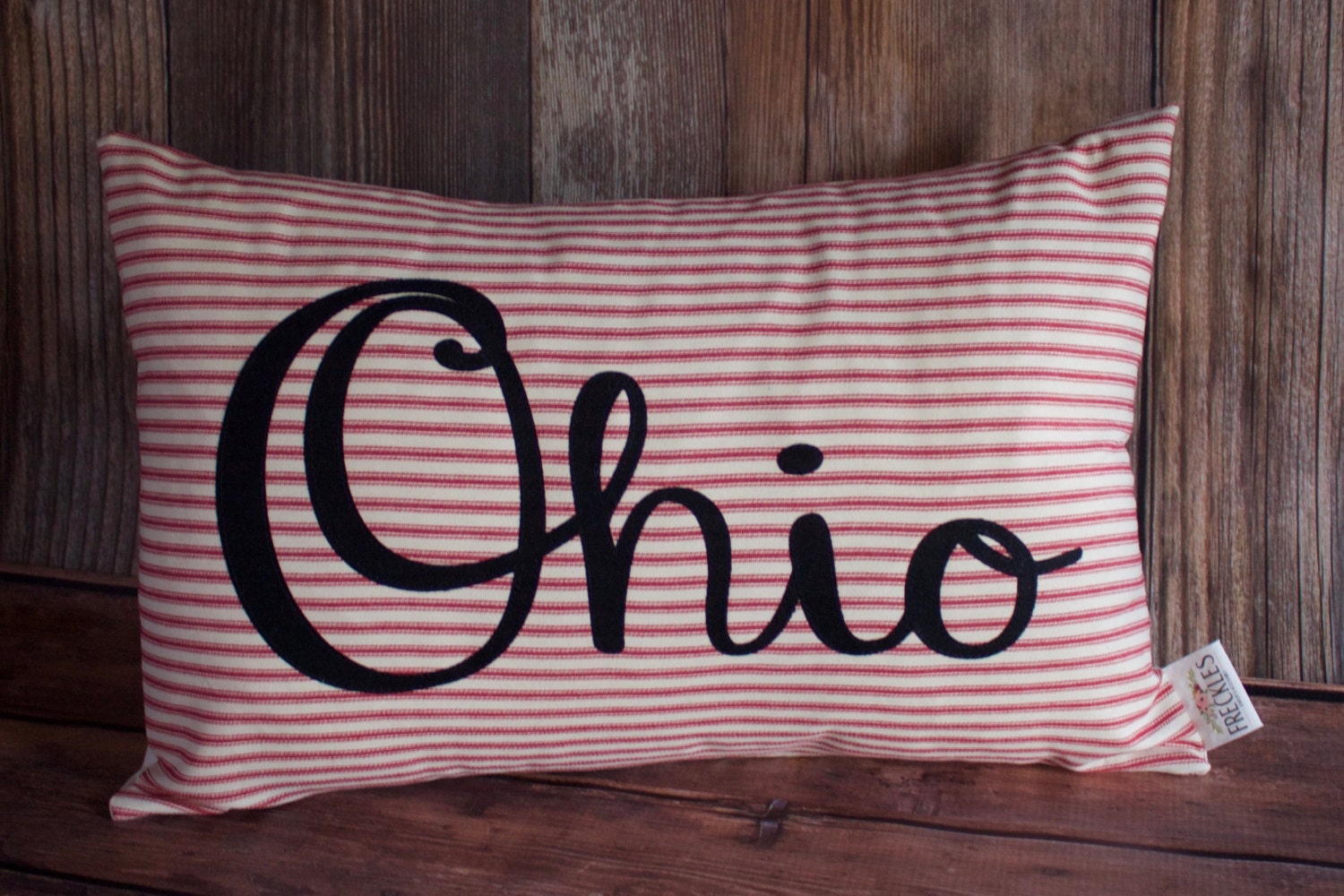 Ohio State Pillow. Dorm Room Decor. State Pillows. Man Cave