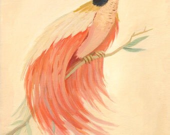 Bird of Paradise Print 8x10