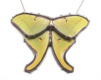 Real Luna Moth Necklace - Statement Necklace - Wearable Nature Art