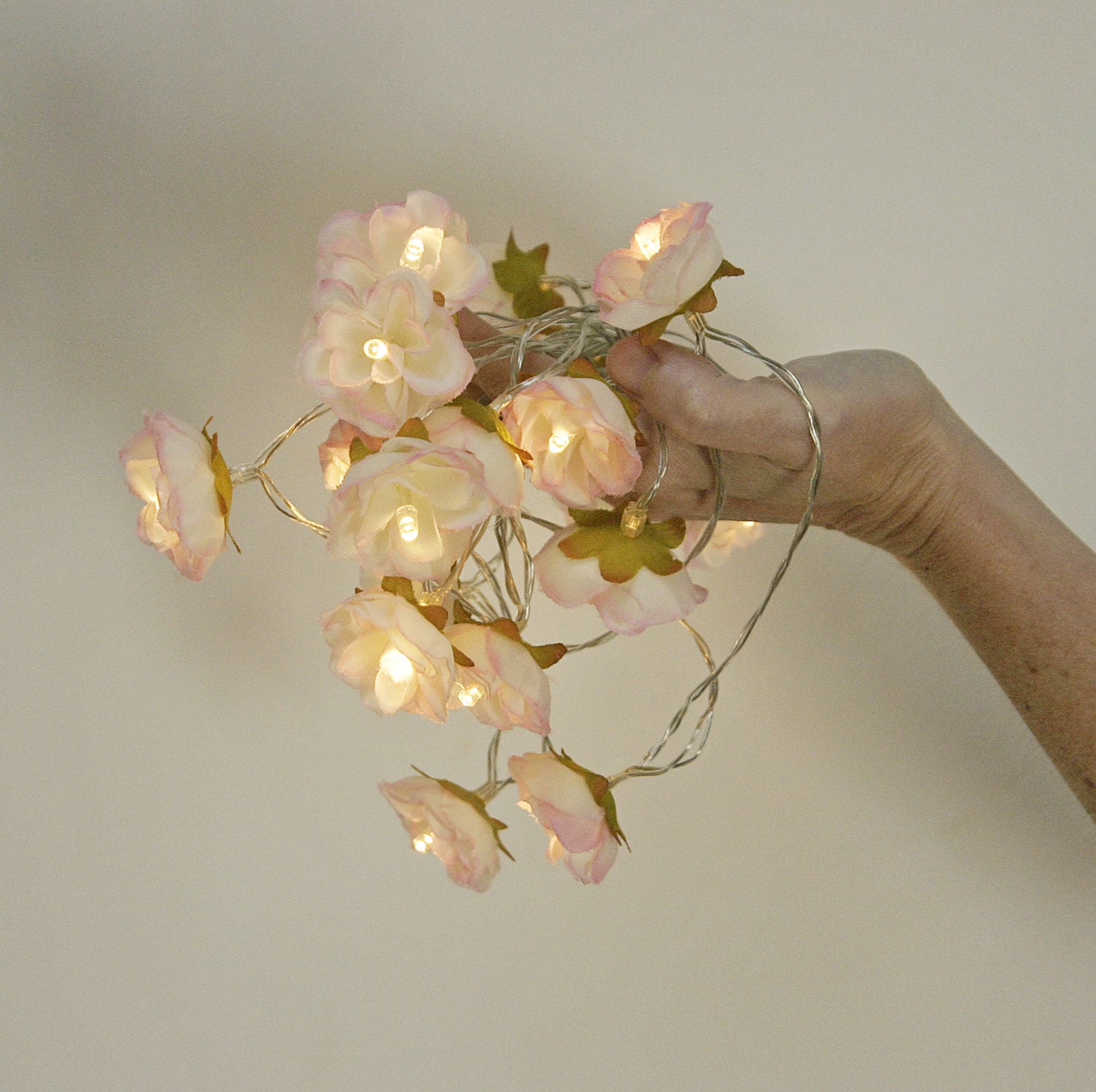 Rose Fairy Lights Pink Tipped Ivory White Shabby Flower