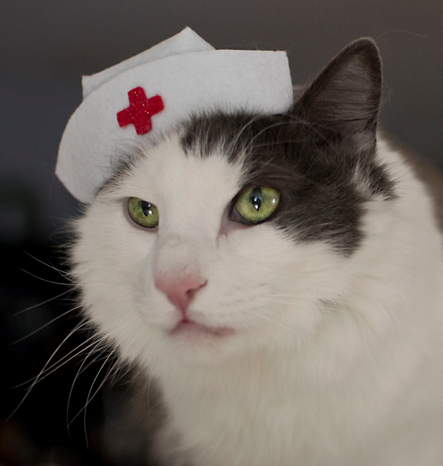  Nurse  Kitty Cat  Hat