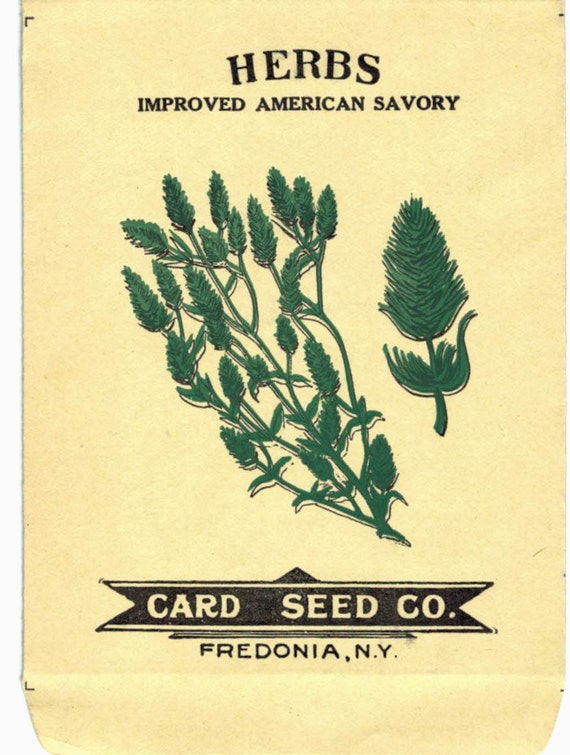 Items similar to Antique Herb Seed Packets Early 1900s Card Seed Co ...