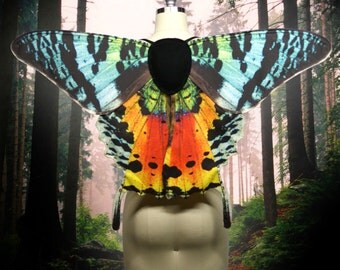 Sunset Moth Costume Fairy Wings for Halloween, Rainbow Butterfly Wings Fairy Costume, Adult Sized, festival fashion
