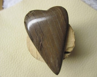 Big wooden heart petrified wood freeform cabochon