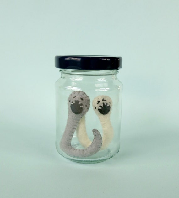 Hookworms in a Jar Parasite Decor Worms Display Intestinal
