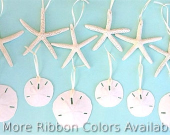 Shell Ornaments - Set/12 Starfish and Sand Dollar Christmas Ornaments Natural or Clear Glitter - 5 Ribbon Colors/Jute - Star Fish Seashells