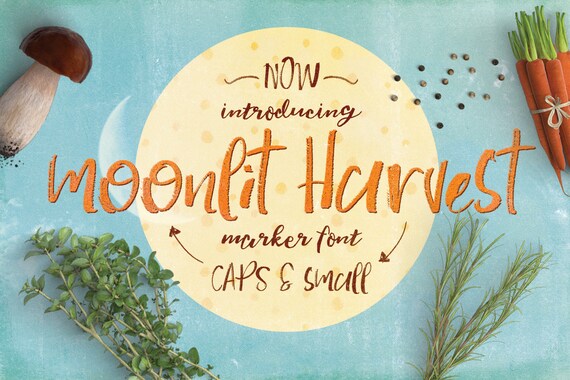 Digital Font Moonlit Harvest - Digital Typeface - Hand drawn marker font - Instant Download -