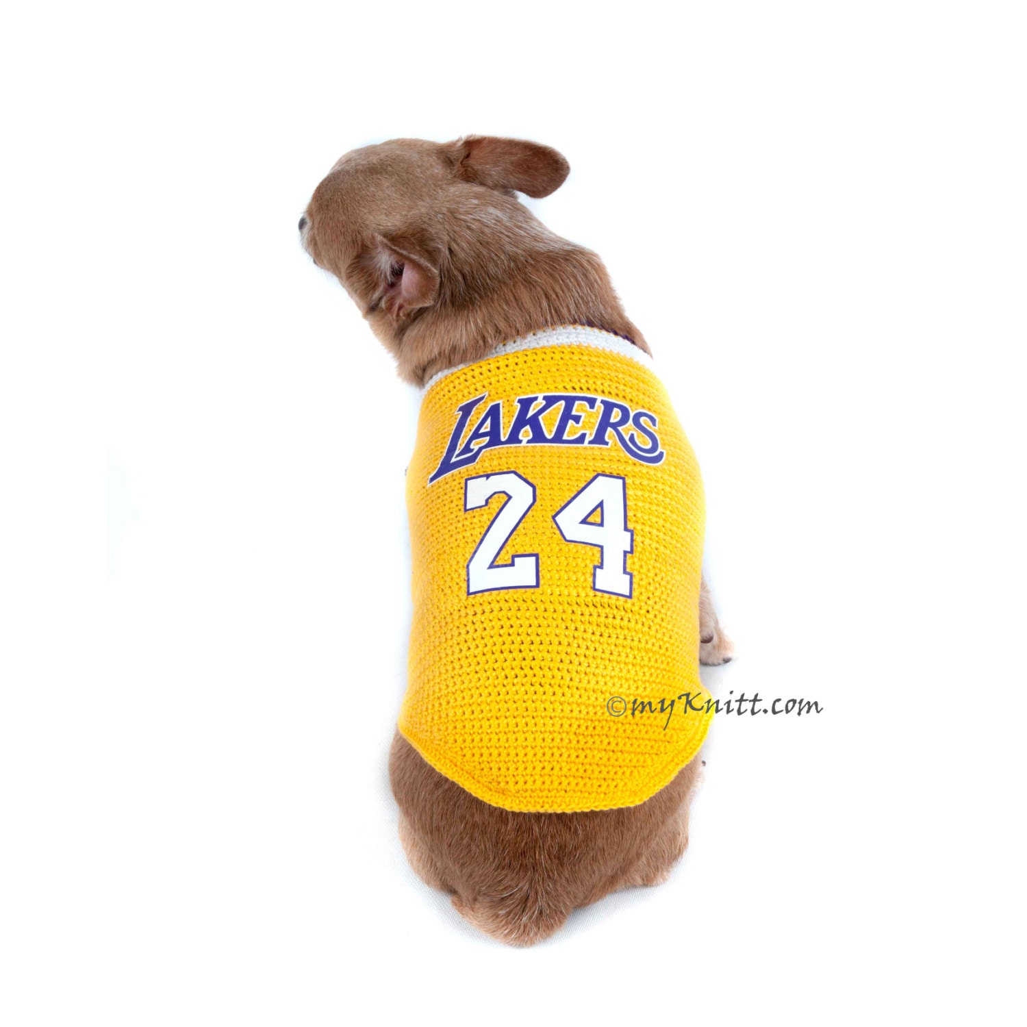 lakers kobe dog jersey