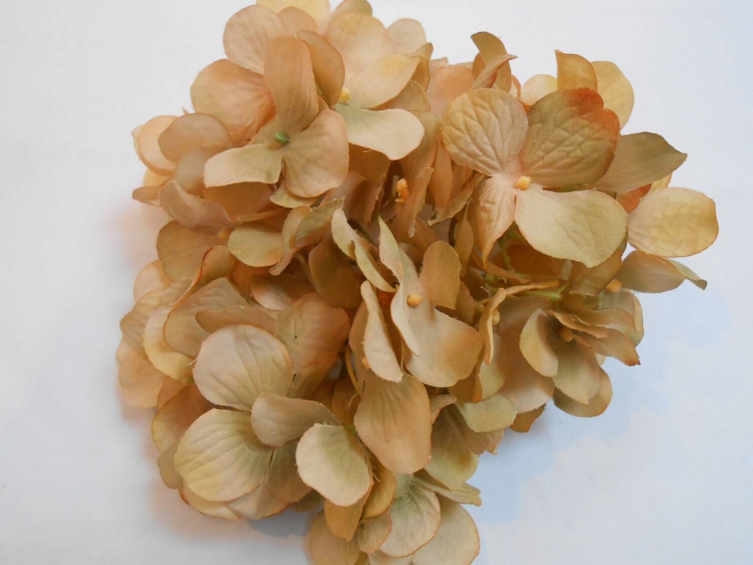 Beige Silk Hydrangea / Crafting Flowers / Artificial Flowers