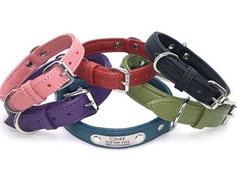Solid Color Padded Leather Dog Collar with Laser Engraved Personalized Nameplate