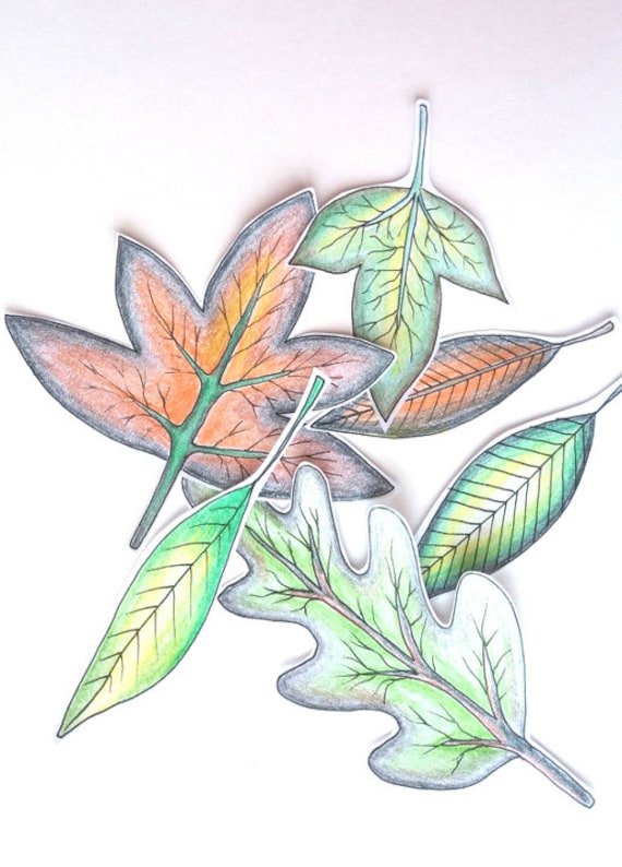 Leaf Cutouts. Handdrawn Colouring Design, mixedmedia cutout ,stress free, downloadable, printable