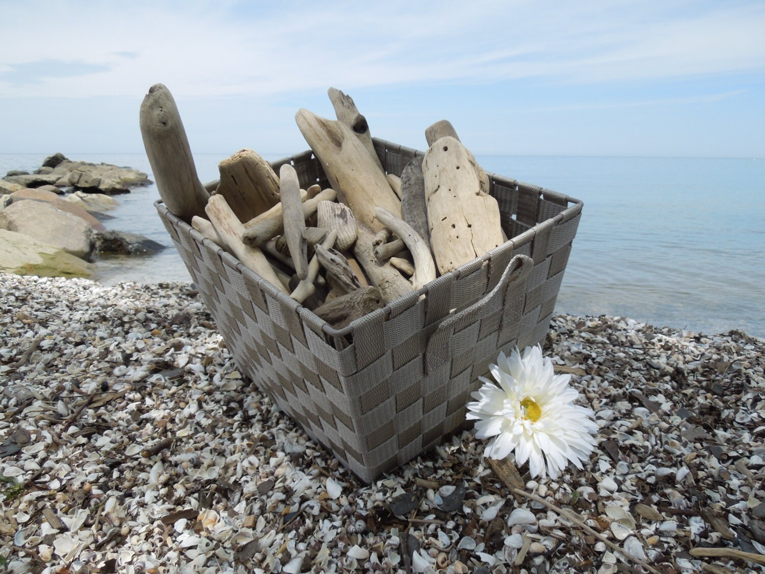 Large Bulk Driftwood 100 Driftwood Pieces Approximately