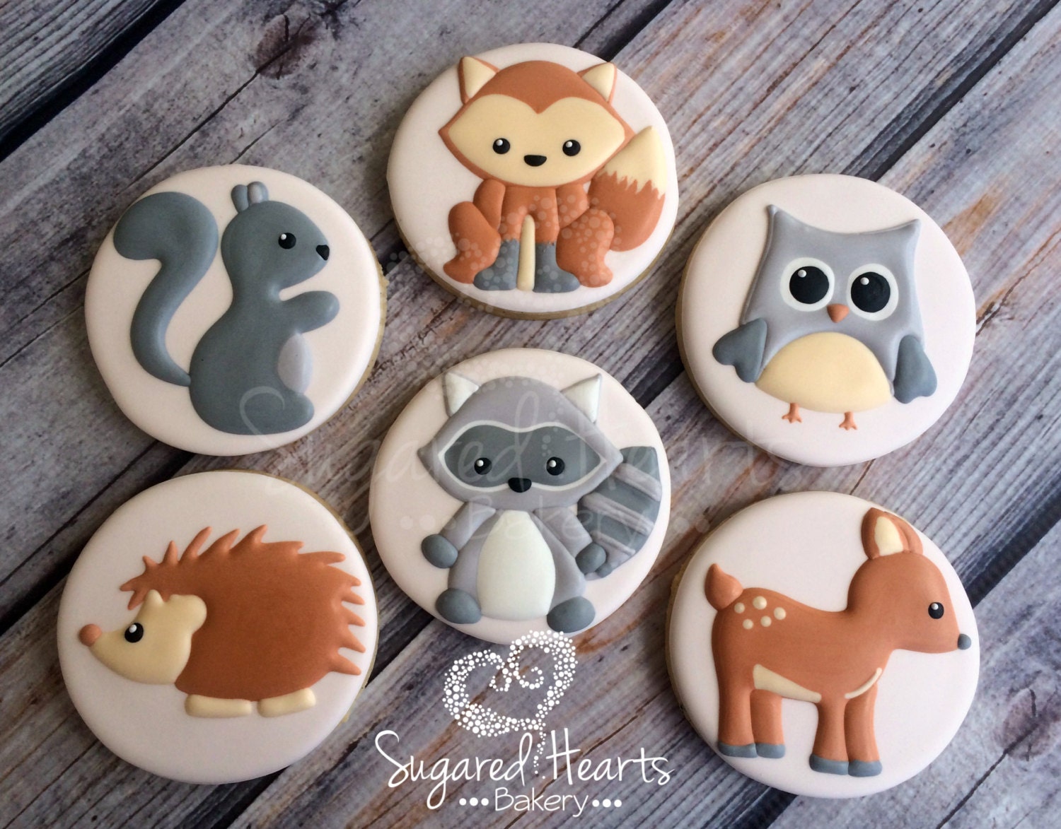 Woodland Animals Decorated Cookies 1 Dozen