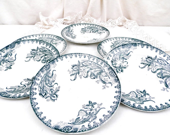 Antique French Ironware Terre de Fer St Amandinoise China Dinner Plate with Dark Blue Iris Pattern, Chateau Chic, French Country Decor