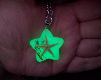Starfish - Taxidermy - Glow in the Dark - Pendant / Necklace