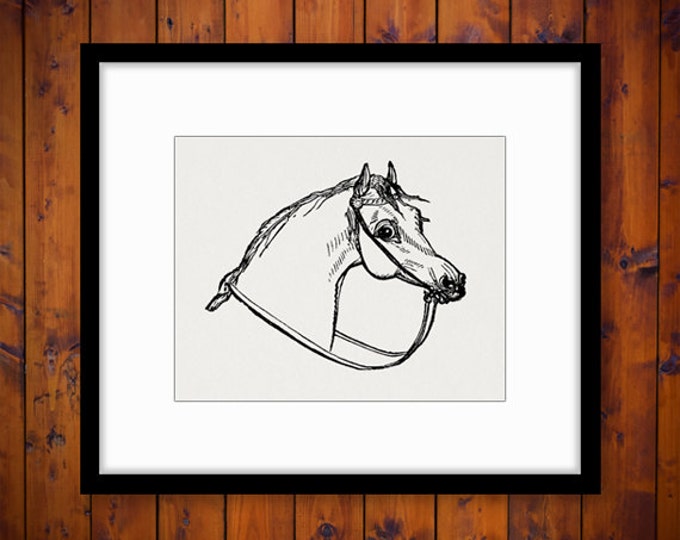 Antique Horse Digital Image Graphic Download Printable Artwork Vintage Clip Art Jpg Png Eps HQ 300dpi No.4071