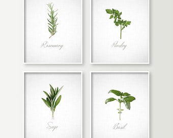 chic kitchen decor wall art print with cooking herbs parsley chic kitchen decor wall art print with cooking herbs parsley