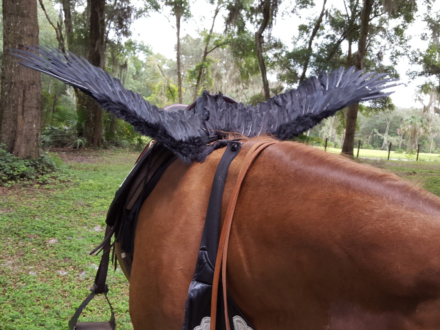 Black Riding Horse Wings Feathered Wings for by MyBuddyBling