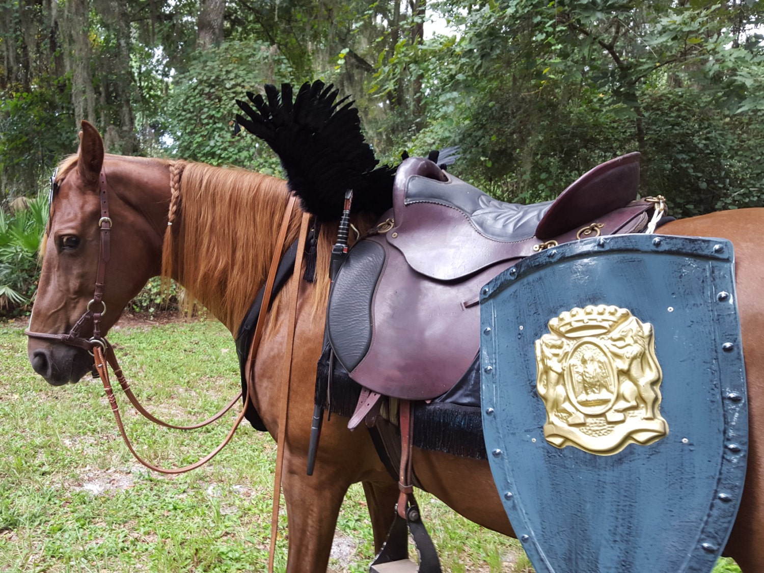 Black Horse Wings Feathered Wings for Horse Pony or