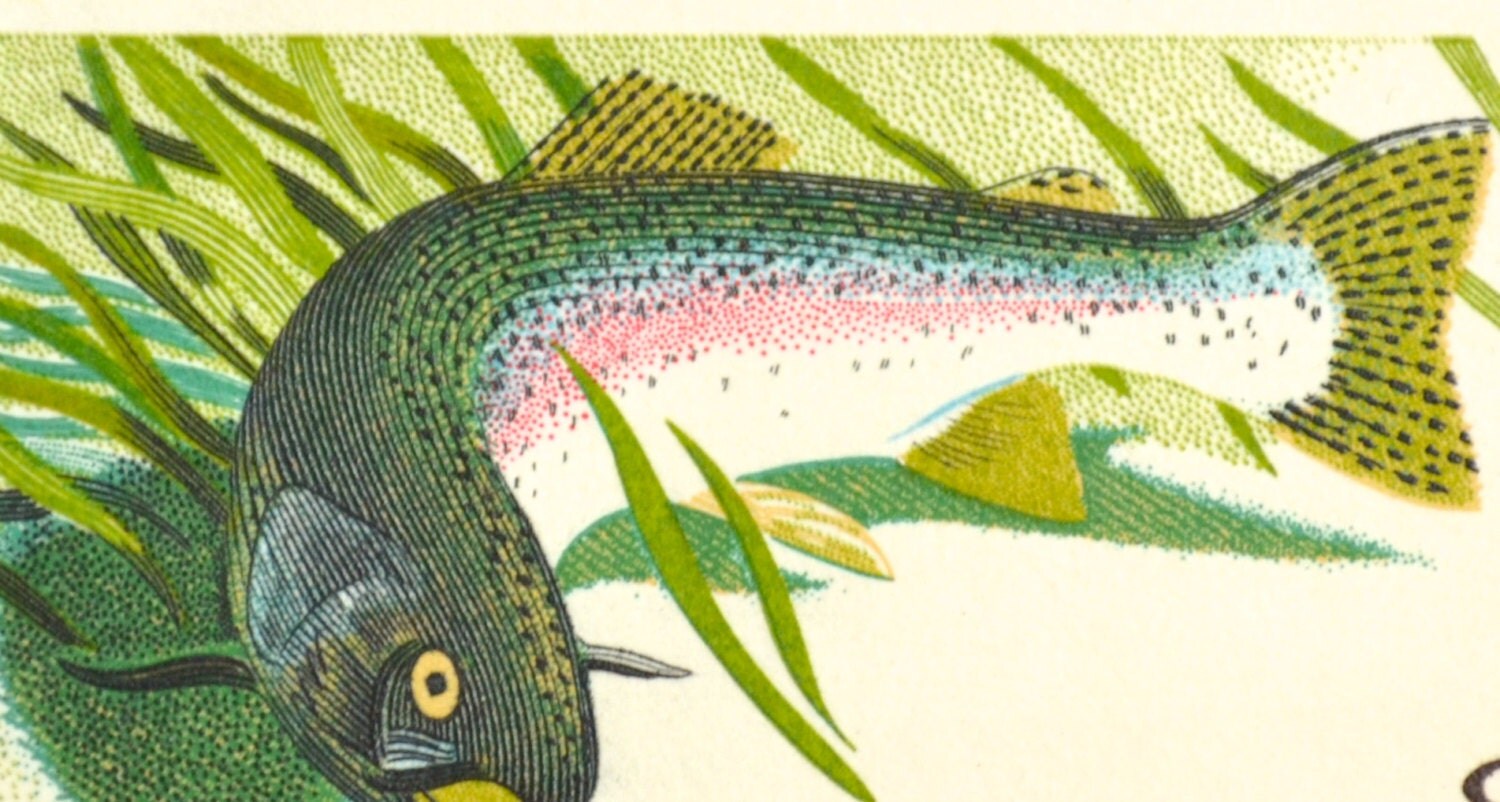 10 Unused Rainbow Trout Postage Stamps // Vintage 1971 Fishing Stamps