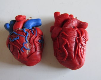 Realistic Polymer clay Autopsy Necklace Anatomical Heart