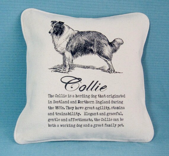 collie pillow