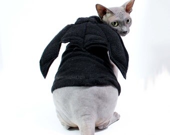 Toothless Dragon Costume with Wings! Costume Inspired by How to train your Dragon halloween costume fashion for your pet. Pet Gift. B3