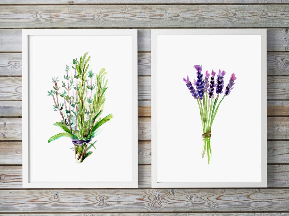 Herbs Watercolor Painting Food Art Rosemary lavender