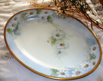Handpainted Bavarian Plate, Antique Paul Muller Selb Bavarian Platter, Hand Painted Made in Germany, Antique Display Plate