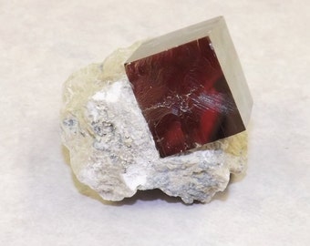 Iron Pyrite in Limestone Matrix - SALE