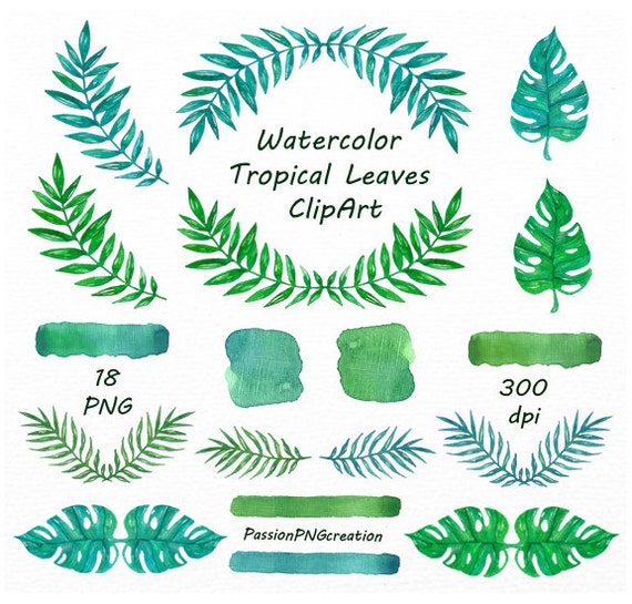 watercolor leaves clipart - photo #31