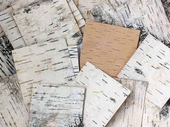 Birch Bark Sheets. Birch Sheets Craft. Birch Pieces. Birch