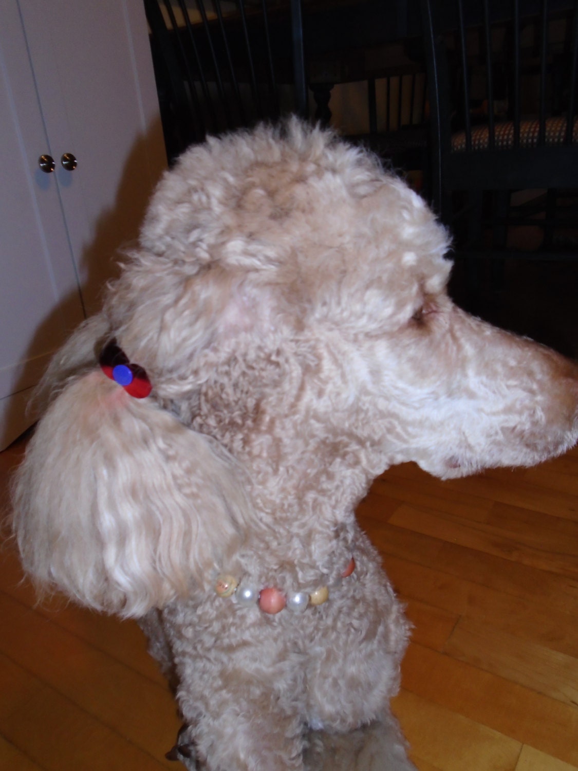 Multi Versatile Ear Harness for Long Ear Dogs or by ChaunChaun