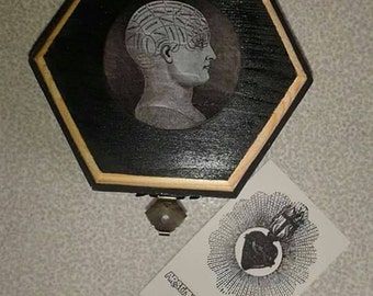 Wooden box decorated wooden box Head-Steampunk-Anatomy