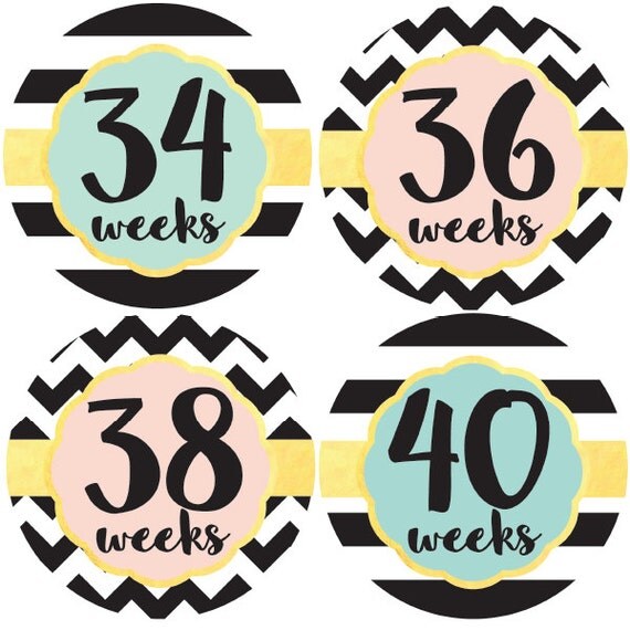 Pregnancy Stickers Maternity Stickers Belly Stickers Belly