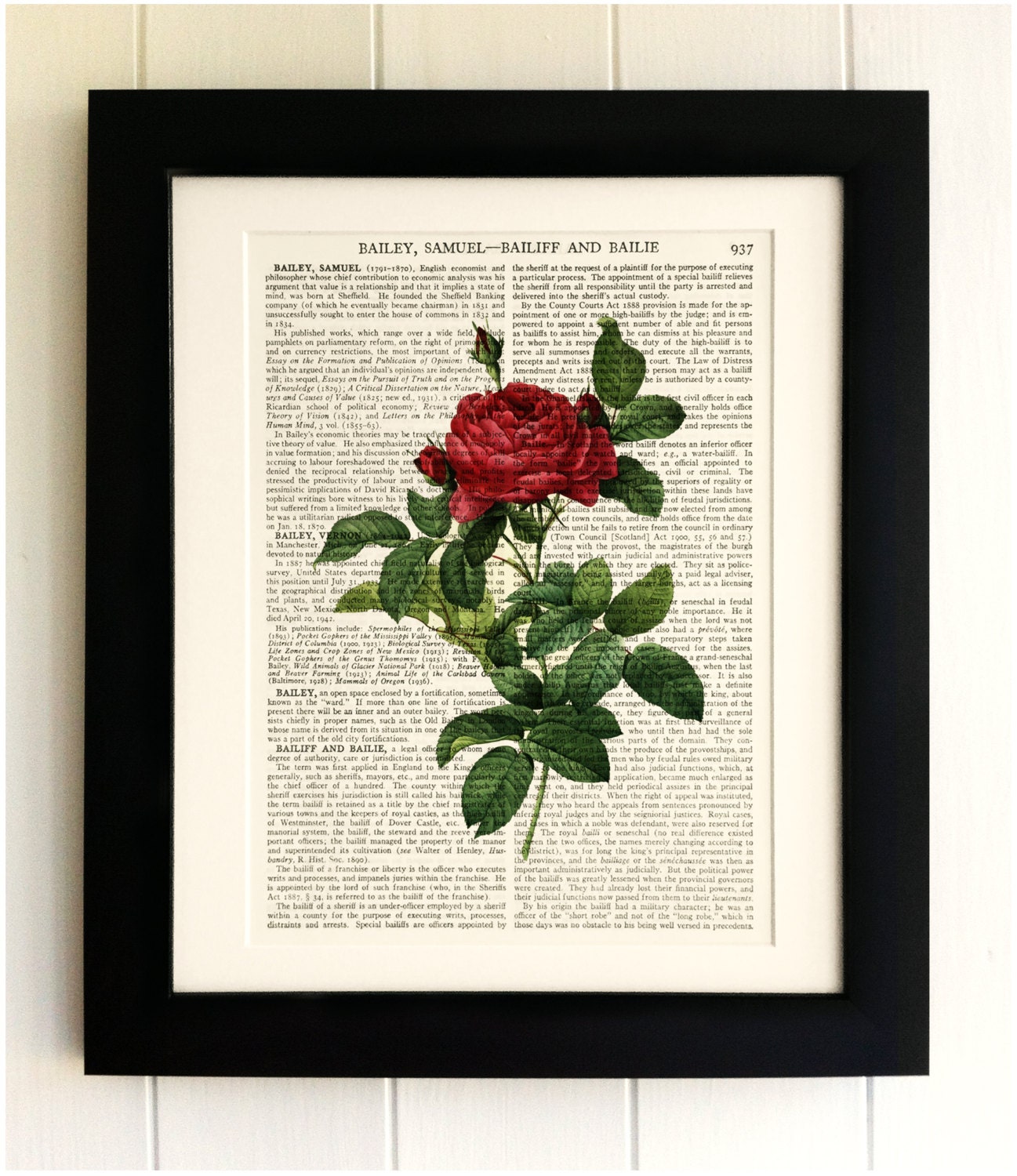 FRAMED ART PRINT on old antique book page Red Rose