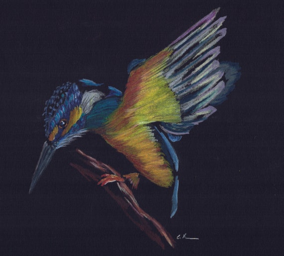 Kingfisher colored pencil drawing print
