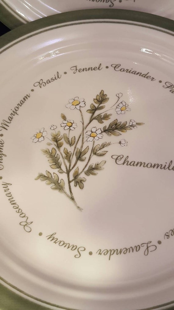 Corelle Herb Pattern | 7 corelle thymeless herbs discontinued pattern luncheon Corelle Herb Pattern | 7 corelle thymeless herbs discontinued pattern luncheon