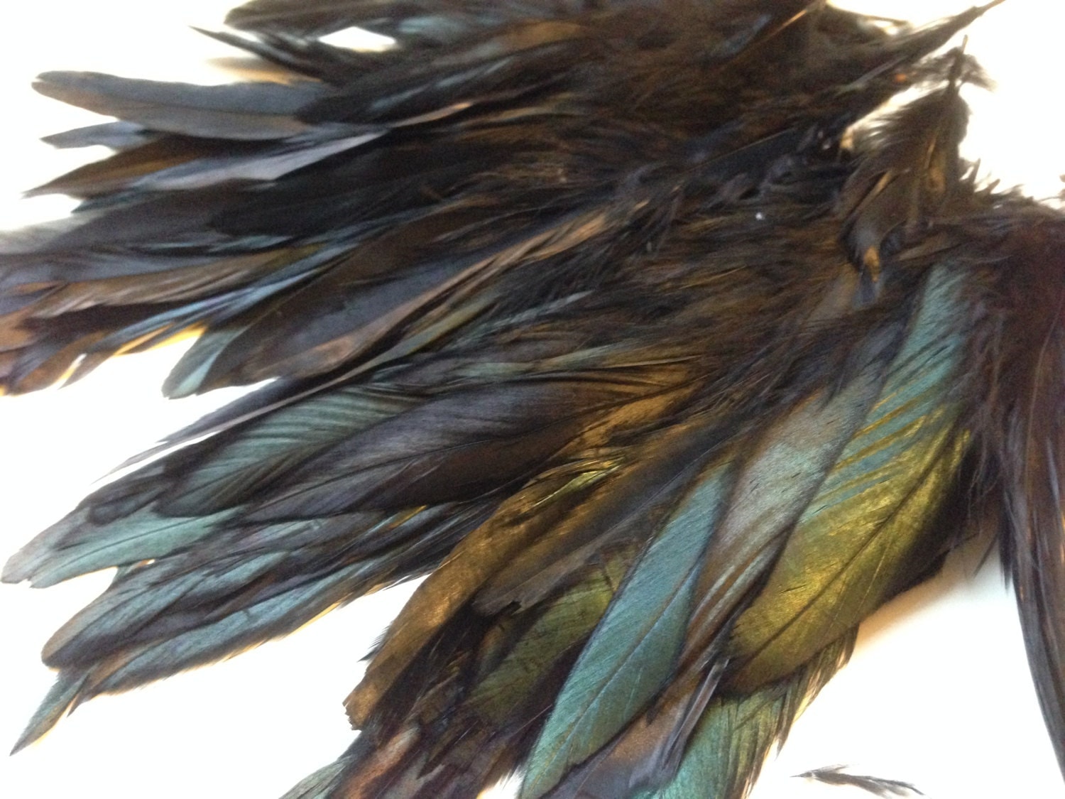 Real feather Rooster feathers Black 10 piece