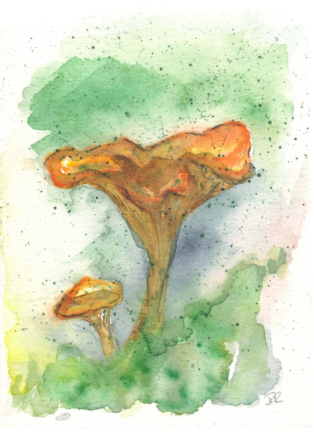 Mushroom Watercolor Wild Chanterelle Painting by BlueDoorArtStudio