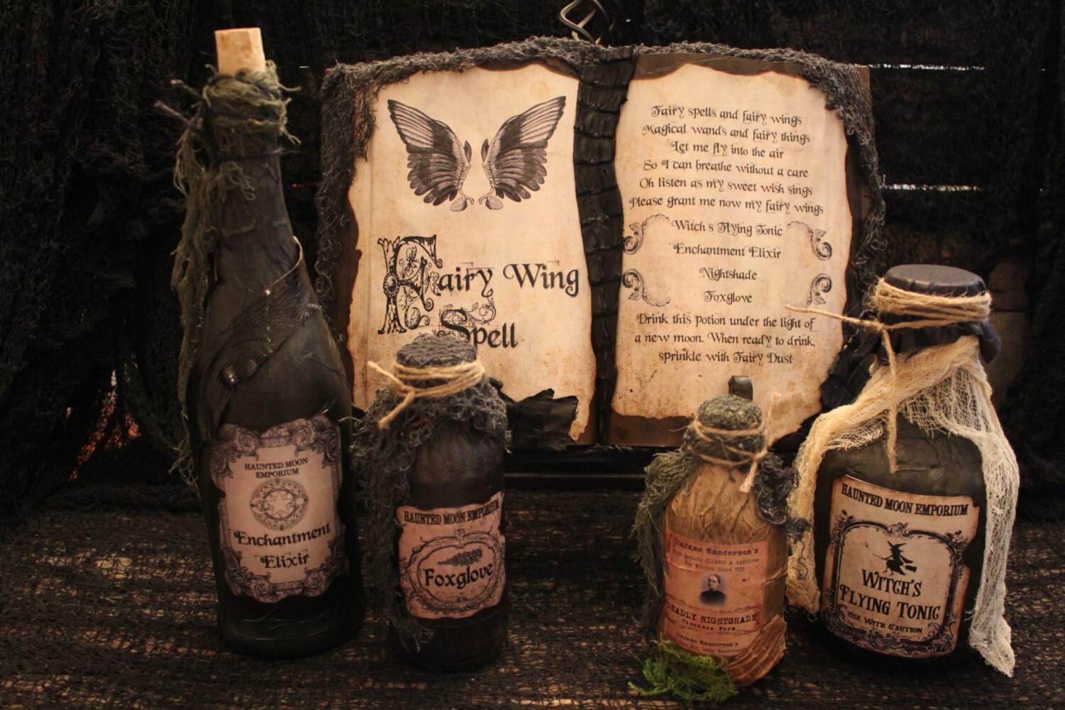 Halloween Spell Book & Potion Bottle Set Fairy Wing