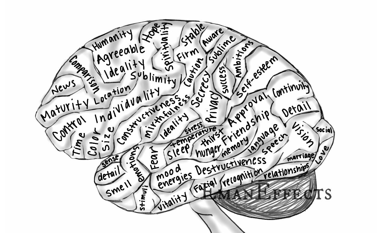 Brain and some. Мозг студента. Карта чувств. Brain Maps блоггер.