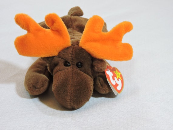 ty chocolate the moose