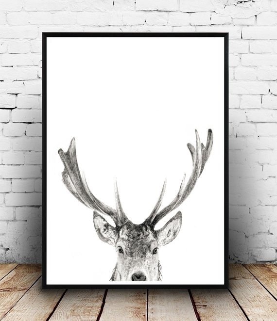 Deer Wall Art Antler Print Instant Download by honeytreeprints