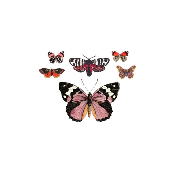 6 Butterflies temporary tattoos Pattern Tattoo Temporary