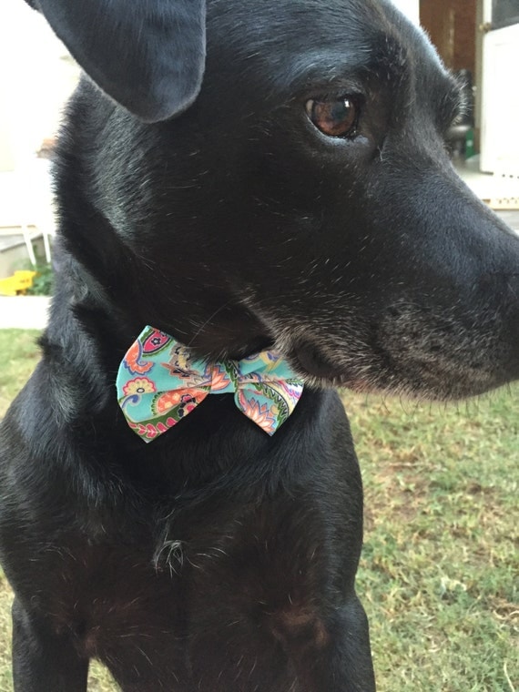 sparkly dog bow tie