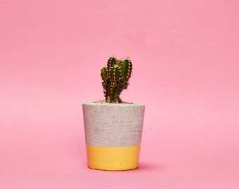 Concrete Planter, Cactus, Succulent Plant Pot, Handmade, Yellow, Small Size- Includes Cactus or Succulent